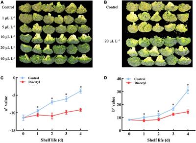 Maintaining the quality of postharvest <mark class="highlighted">broccoli</mark> by inhibiting ethylene accumulation using diacetyl